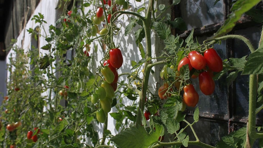 Kærholt Bed & Breakfast