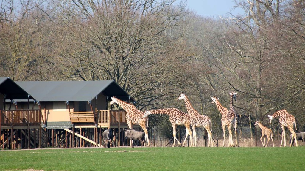 Knuthenborg Safari Camp
