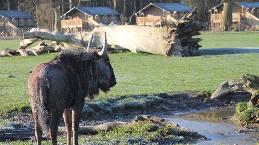 Knuthenborg Safari Camp