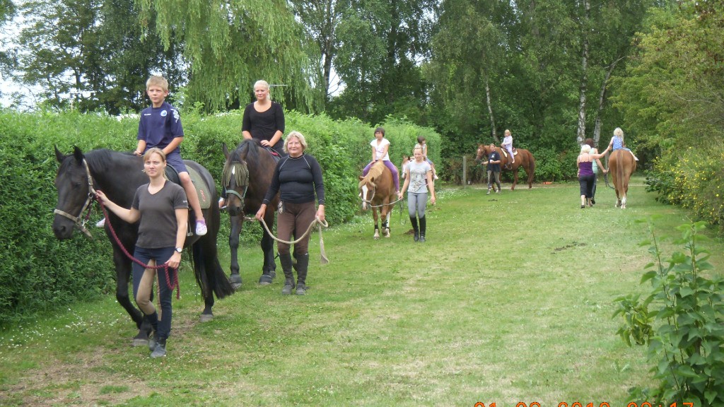 MOJO Camping Falster