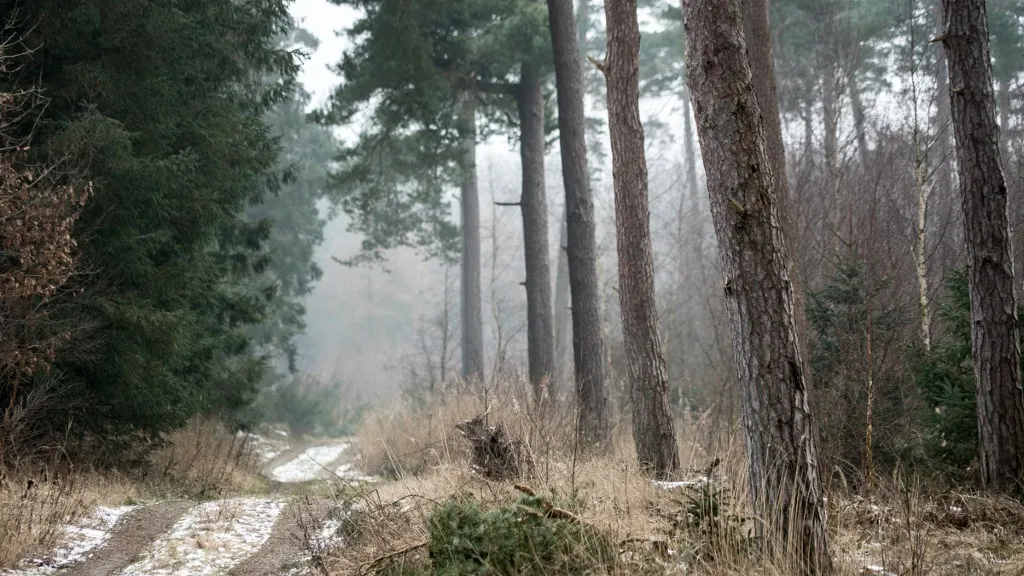 Bøtø Nature Area