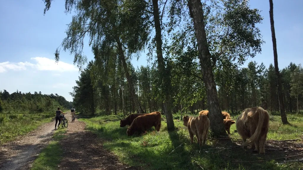 Bøtø Nature Area