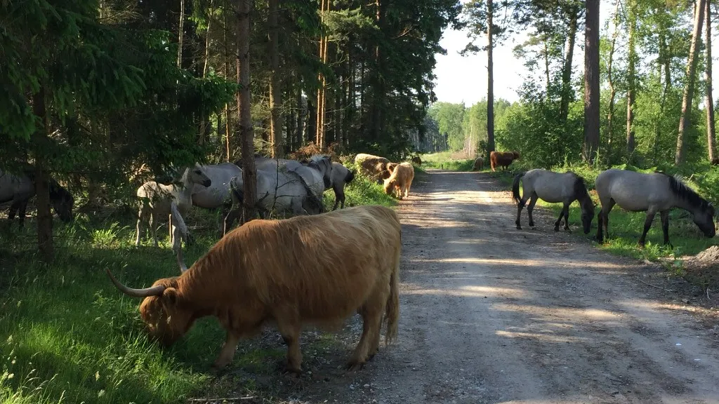 Bøtø Nature Area
