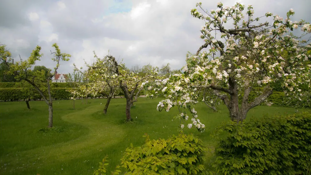 Søholt Barokhave blomstrende frugttræer