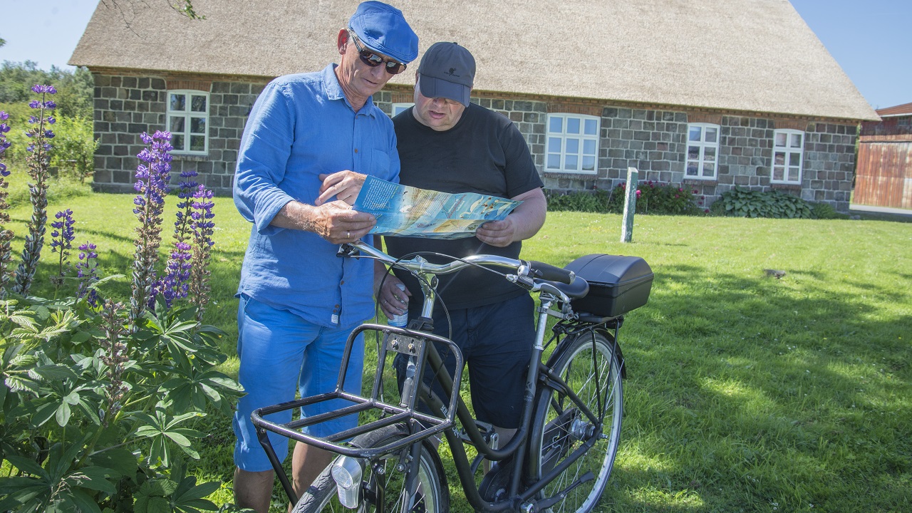 Cycle route: Wild Horses - 37 km