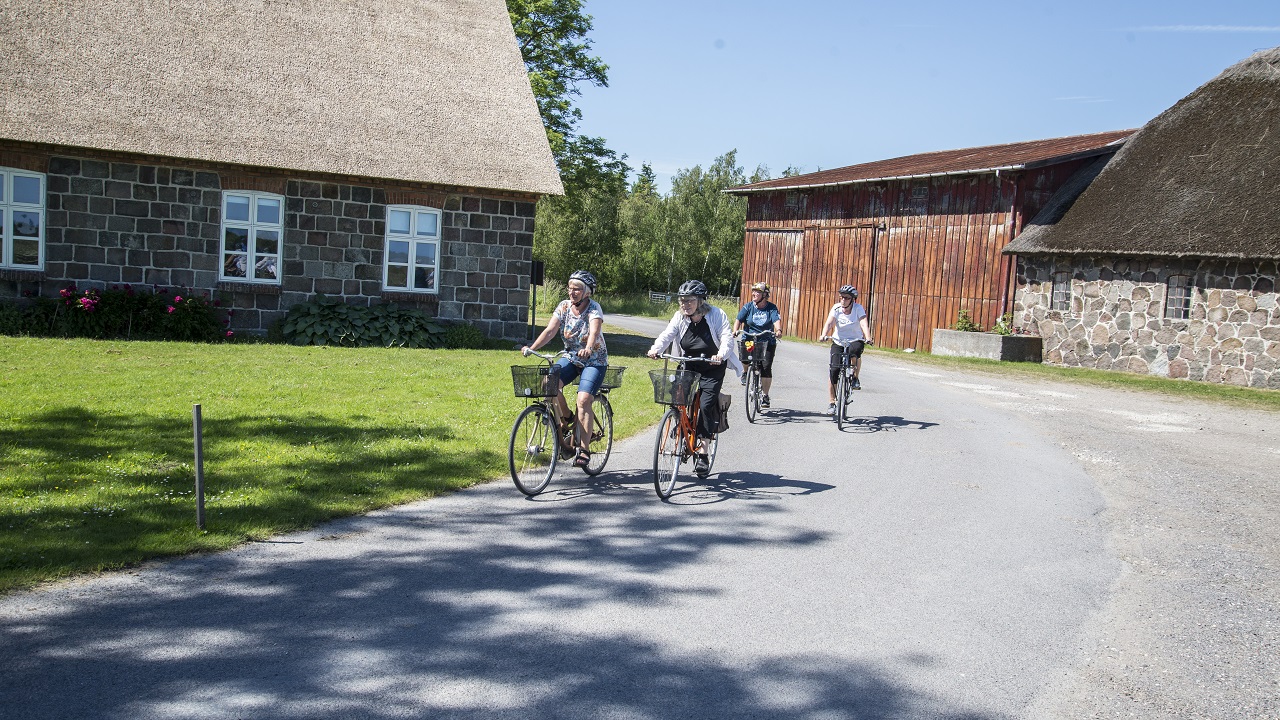 Cycle route: Wild Horses - 37 km