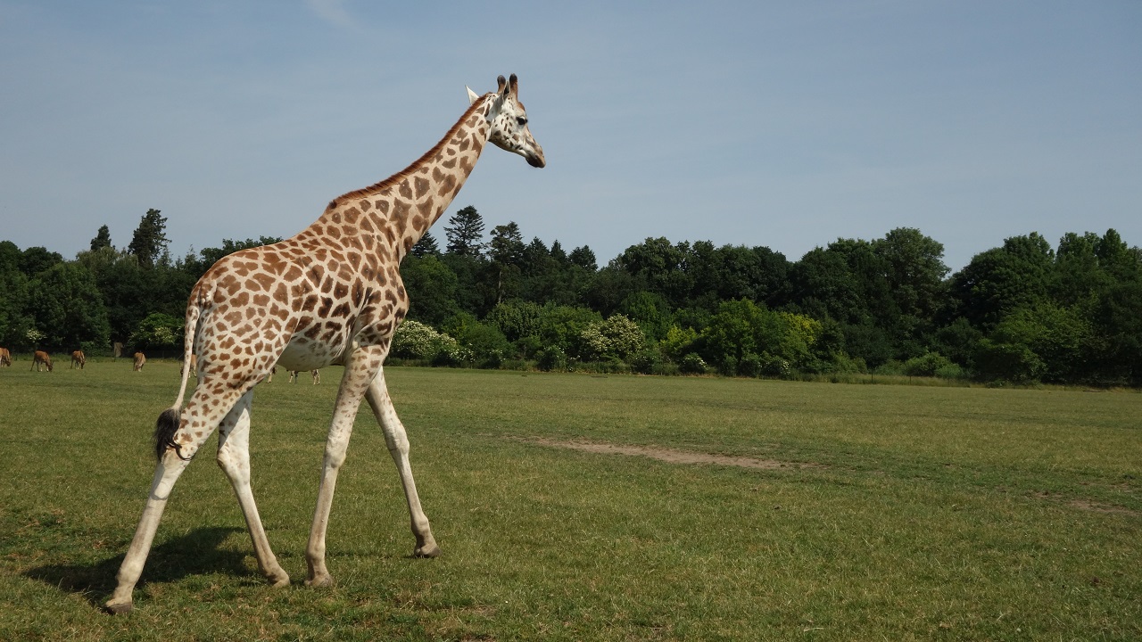 Biking Trip: The safari route