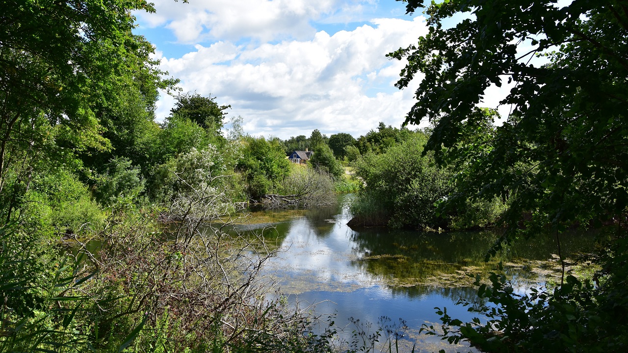 Shelter site - Bursø Grusgrav