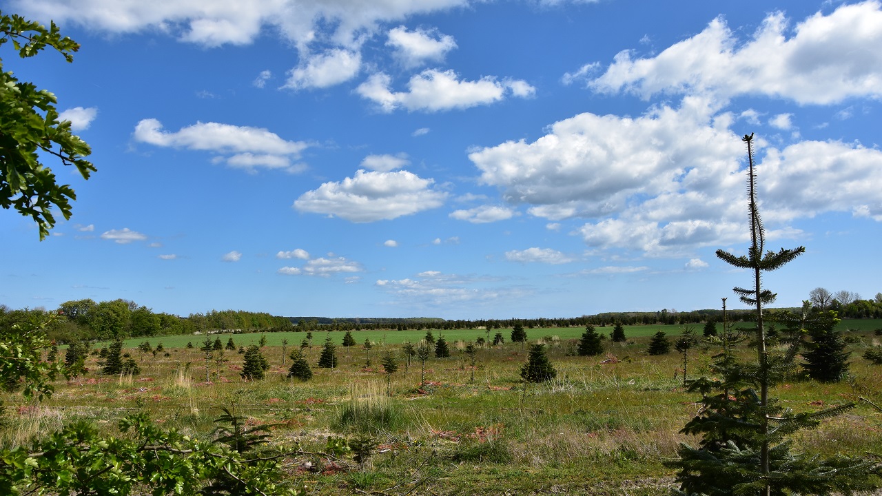 Shelter site - Errindlev Mejeri