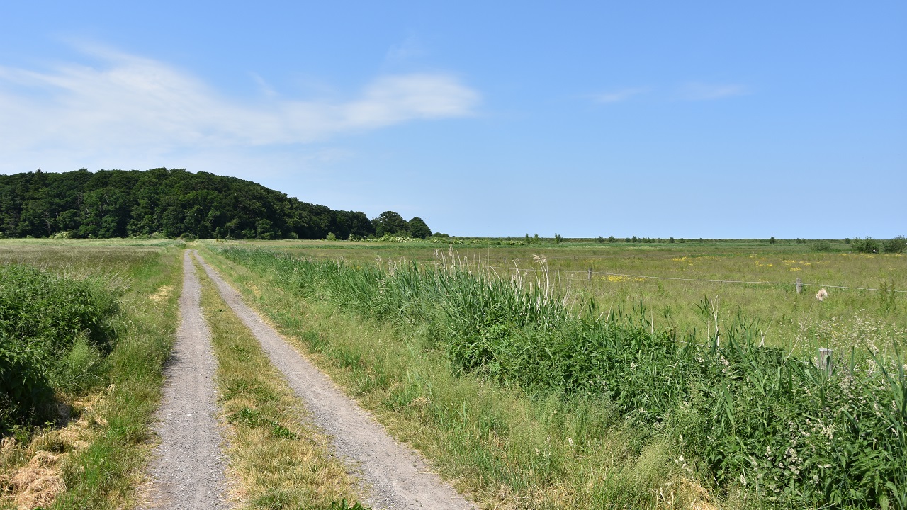 Cycle route: Forest, Coast and Wine - 41 km