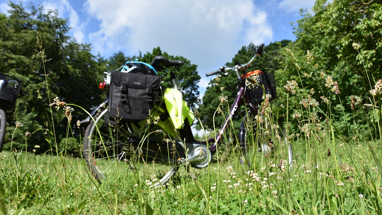 Cycle route: Forest, Coast and Wine - 41 km