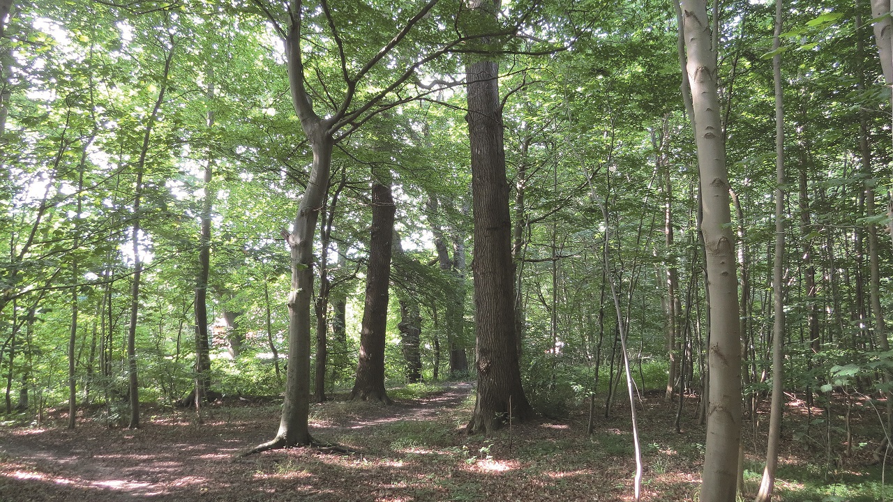 Cycle route: Sundruten - 44 km