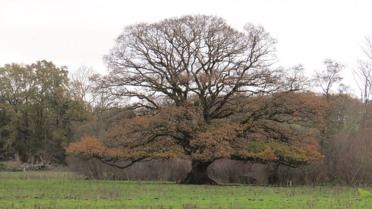 Cycle route: Forest Adventures - 28 km