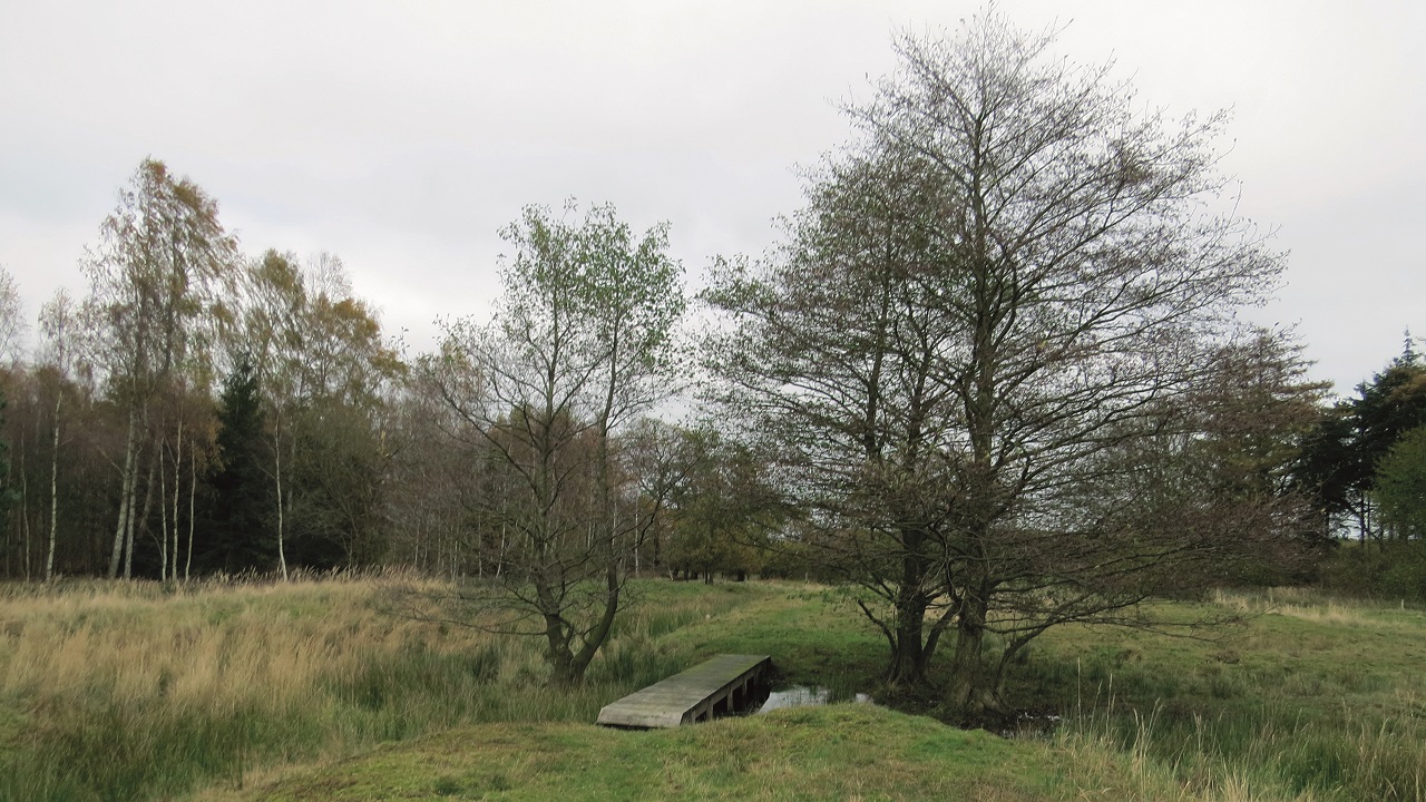 Cycle route: Forest Adventures - 28 km