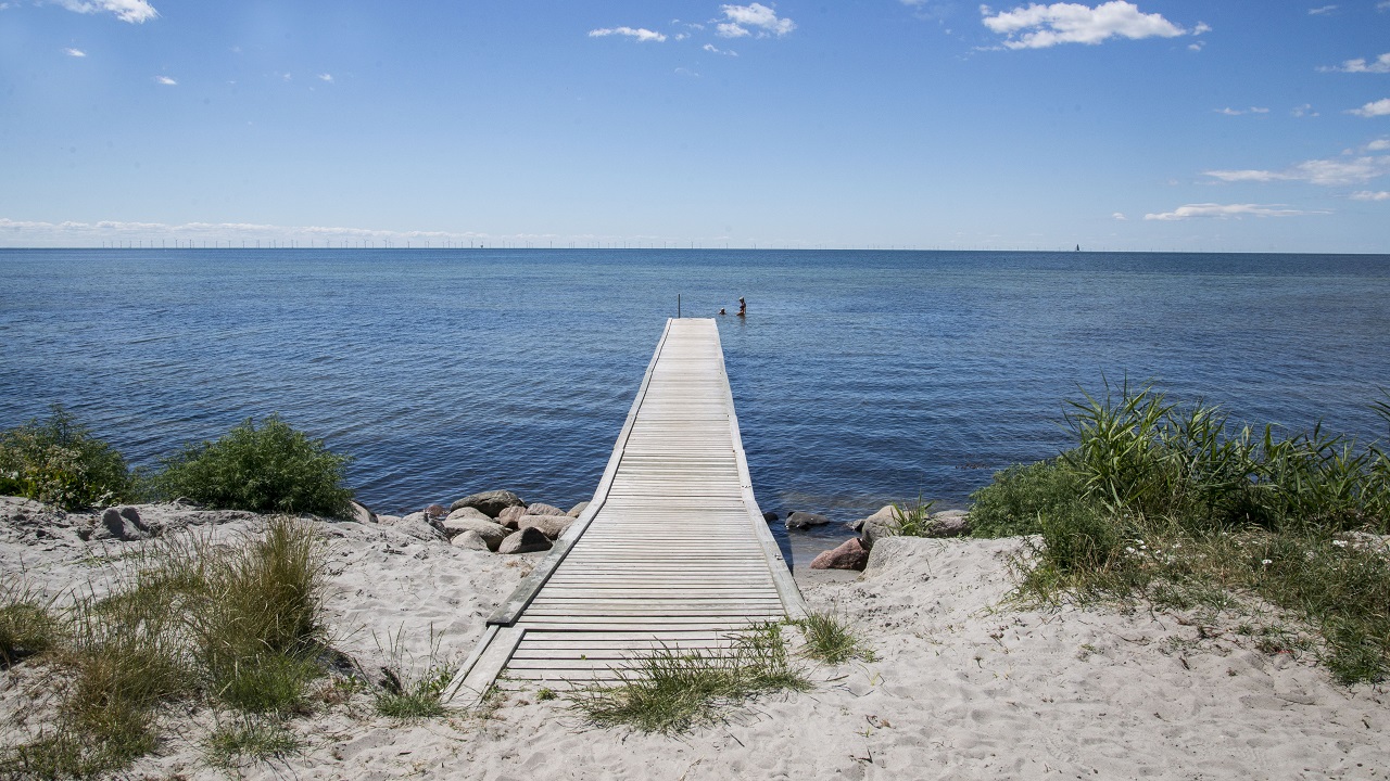 Shelter site - Holten Strand