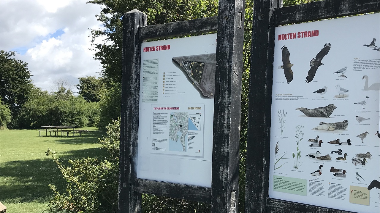 Shelter site - Holten Strand