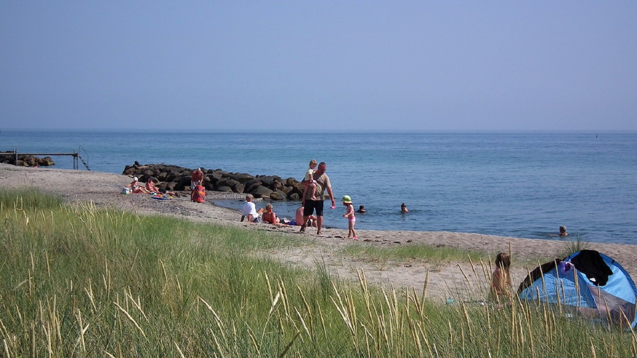 Shelter site - Næsby Strand
