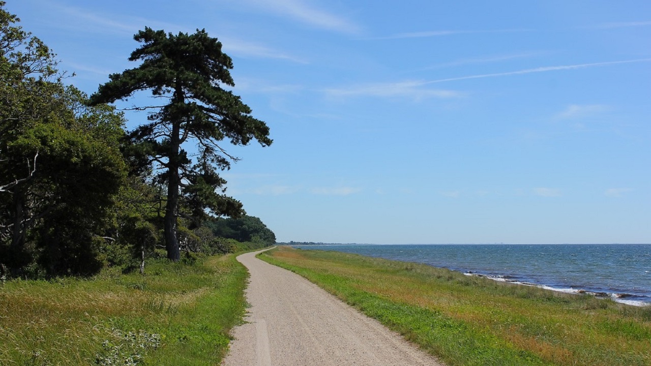 Shelter site - Næsby Strand