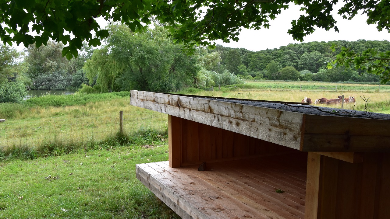 Shelter site - Spejdervænget