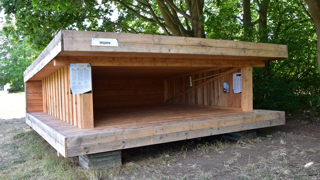 Shelter site - Spejdervænget