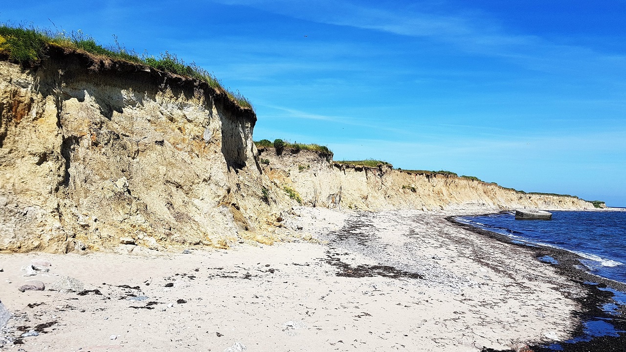 Shelter site - Gedser Naturcenter