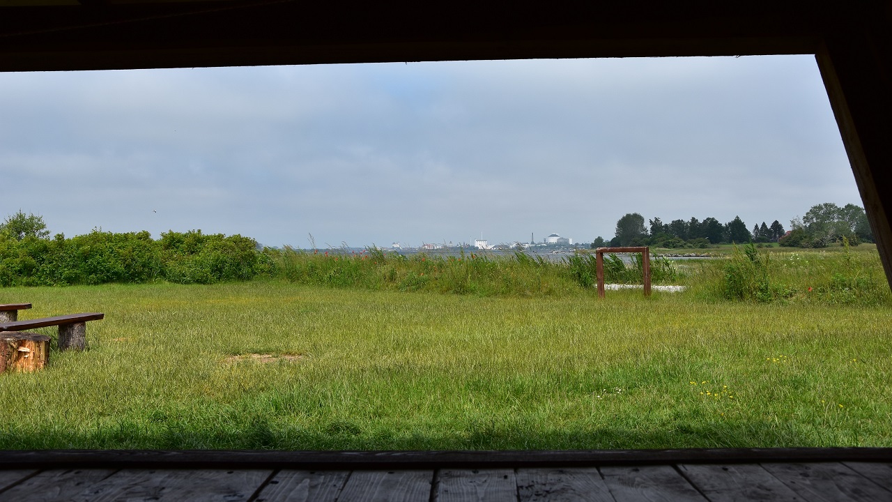 Shelter site - Hasselø Natursti