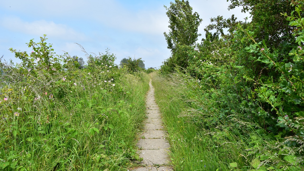 Shelter site - Hasselø Natursti