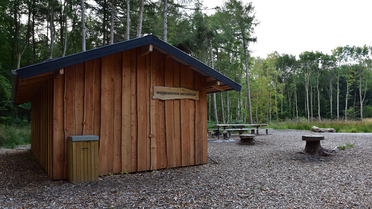 Shelter site - Mysseskoven