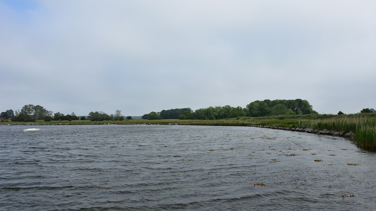 Hiking route: Hasselø Natursti - 2,5 km