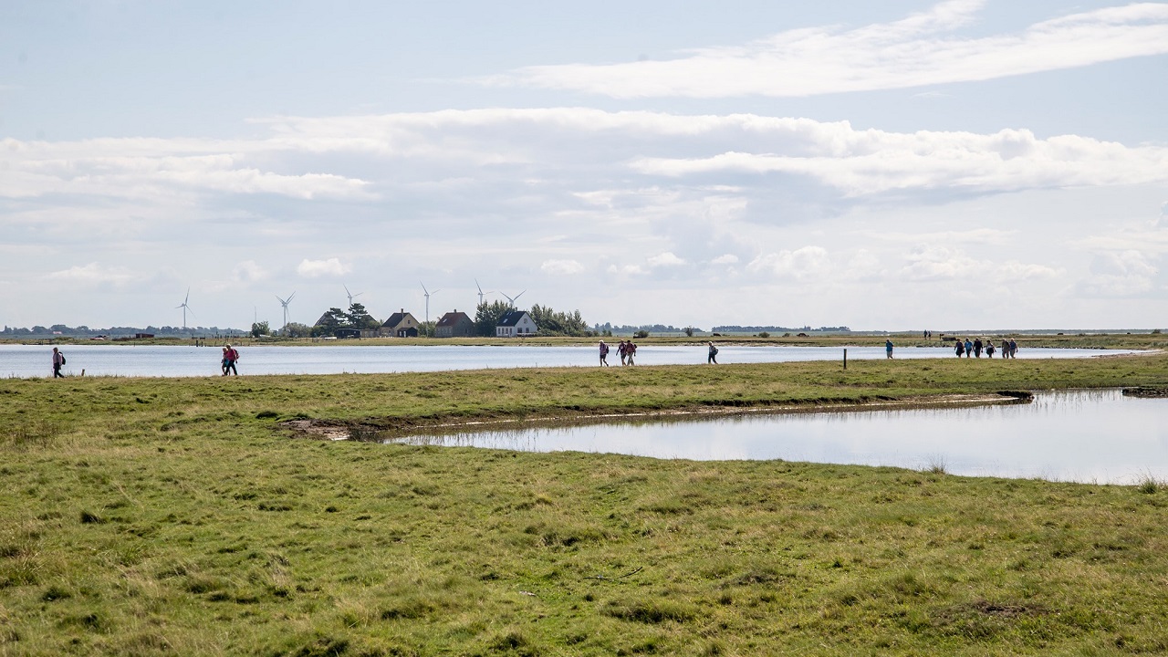 Hiking route: Out on the Albuen - 11,5 km