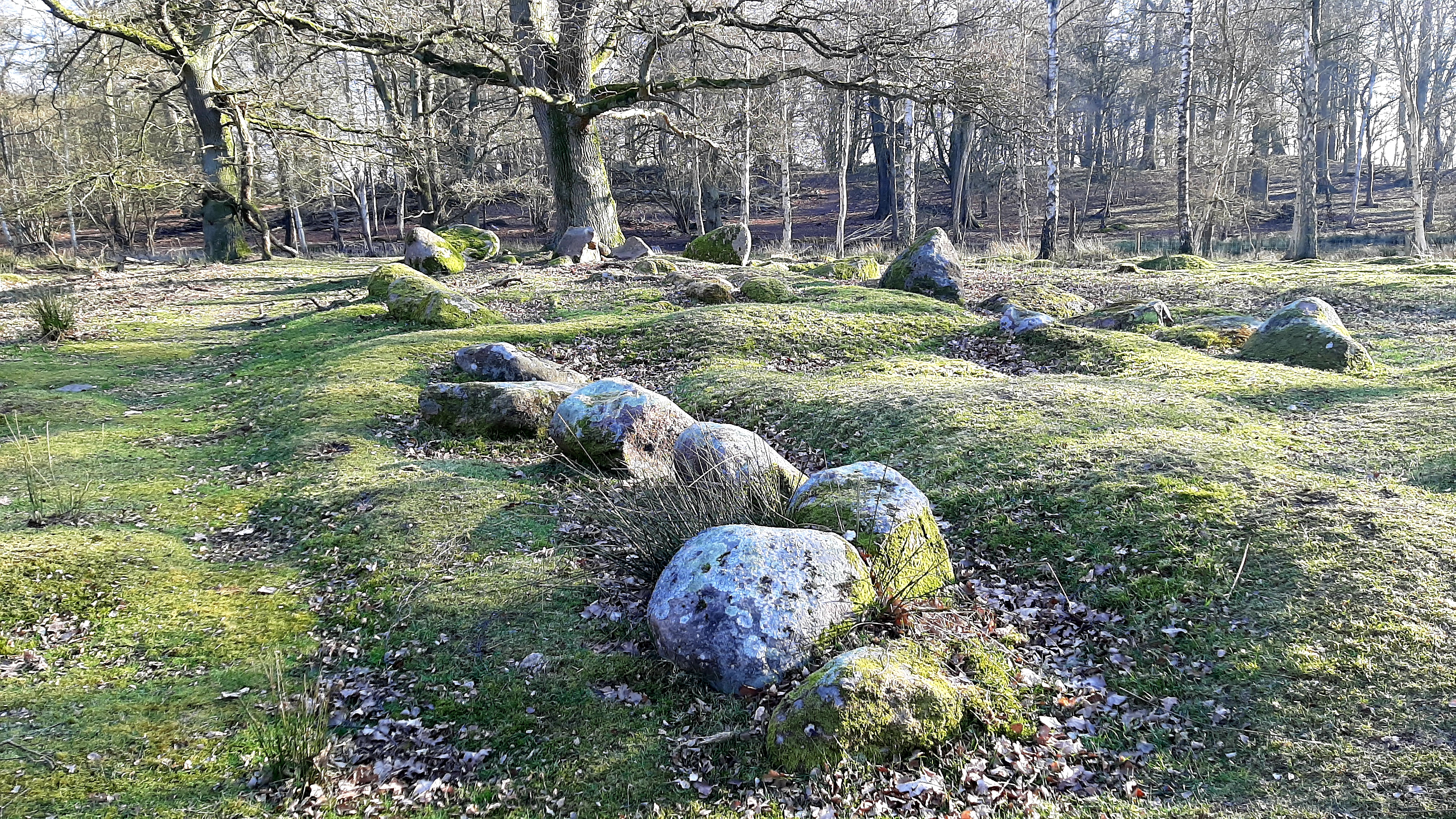 Hiking route: Halskov Vænge - 2,5 km