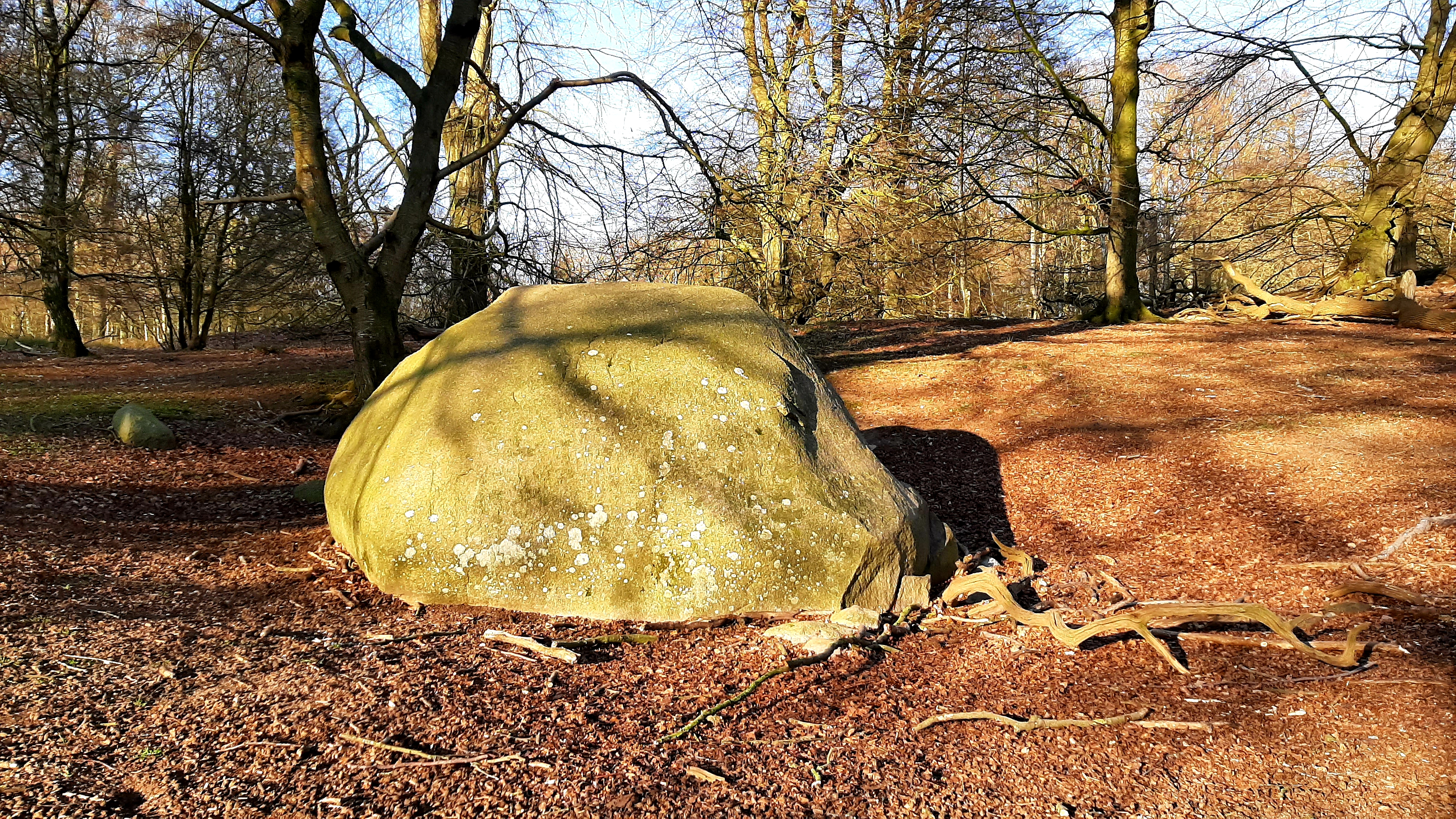 Hiking route: Halskov Vænge - 2,5 km