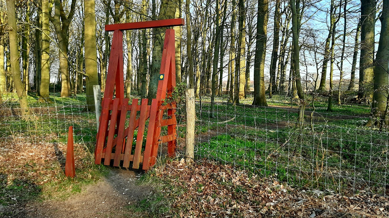 Hiking route: Halskov Vænge - 2,5 km