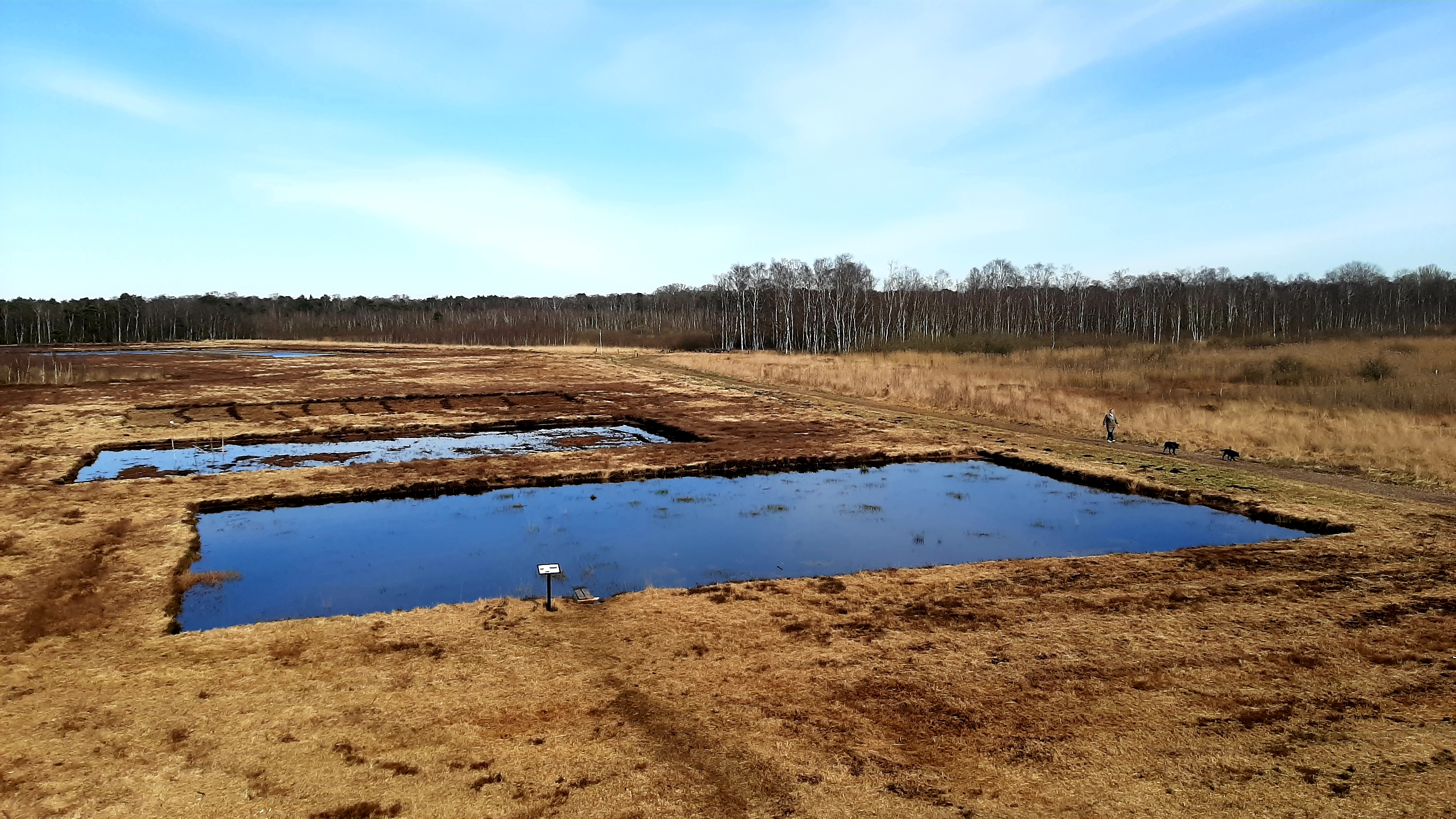 Hiking route: Horreby Lyng - 4,5 km