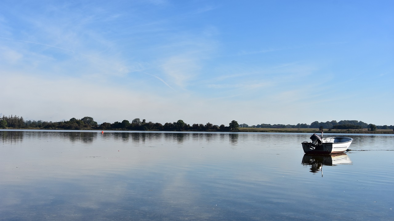 Hiking route: Hamborgskoven - 5 km