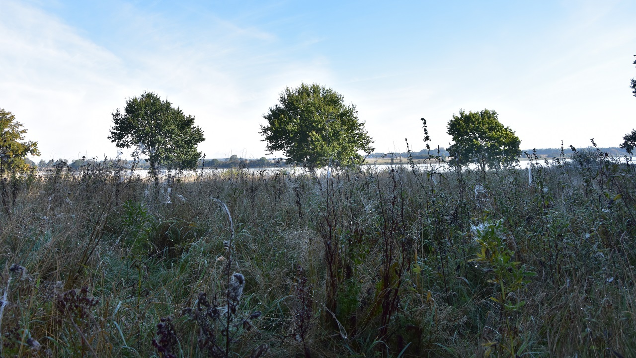 Hiking route: Hamborgskoven - 5 km