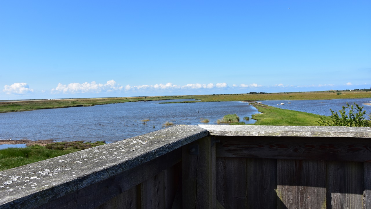 Hiking route: Saksfjed-Hyllekrog - 13 km