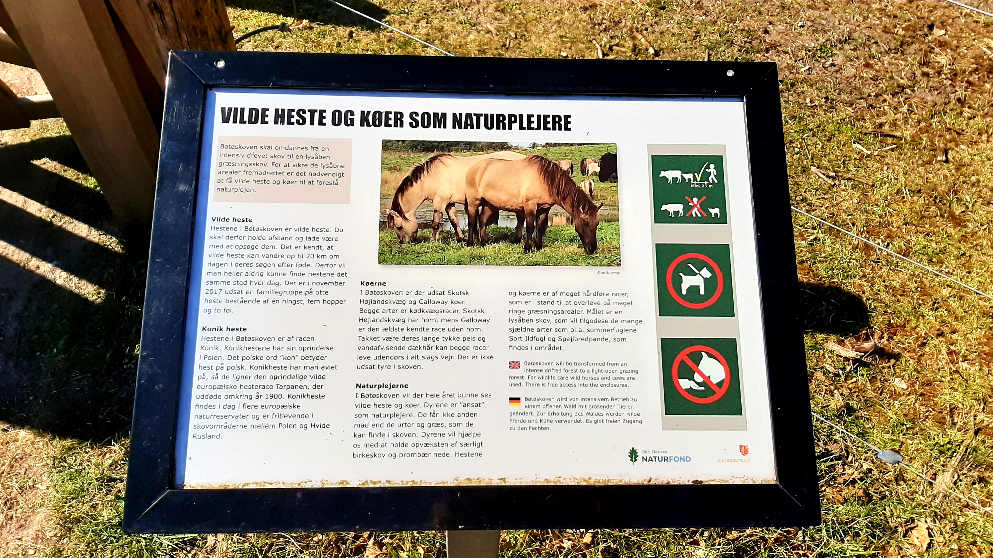 Wanderweg: Bøtøskoven - 5 km