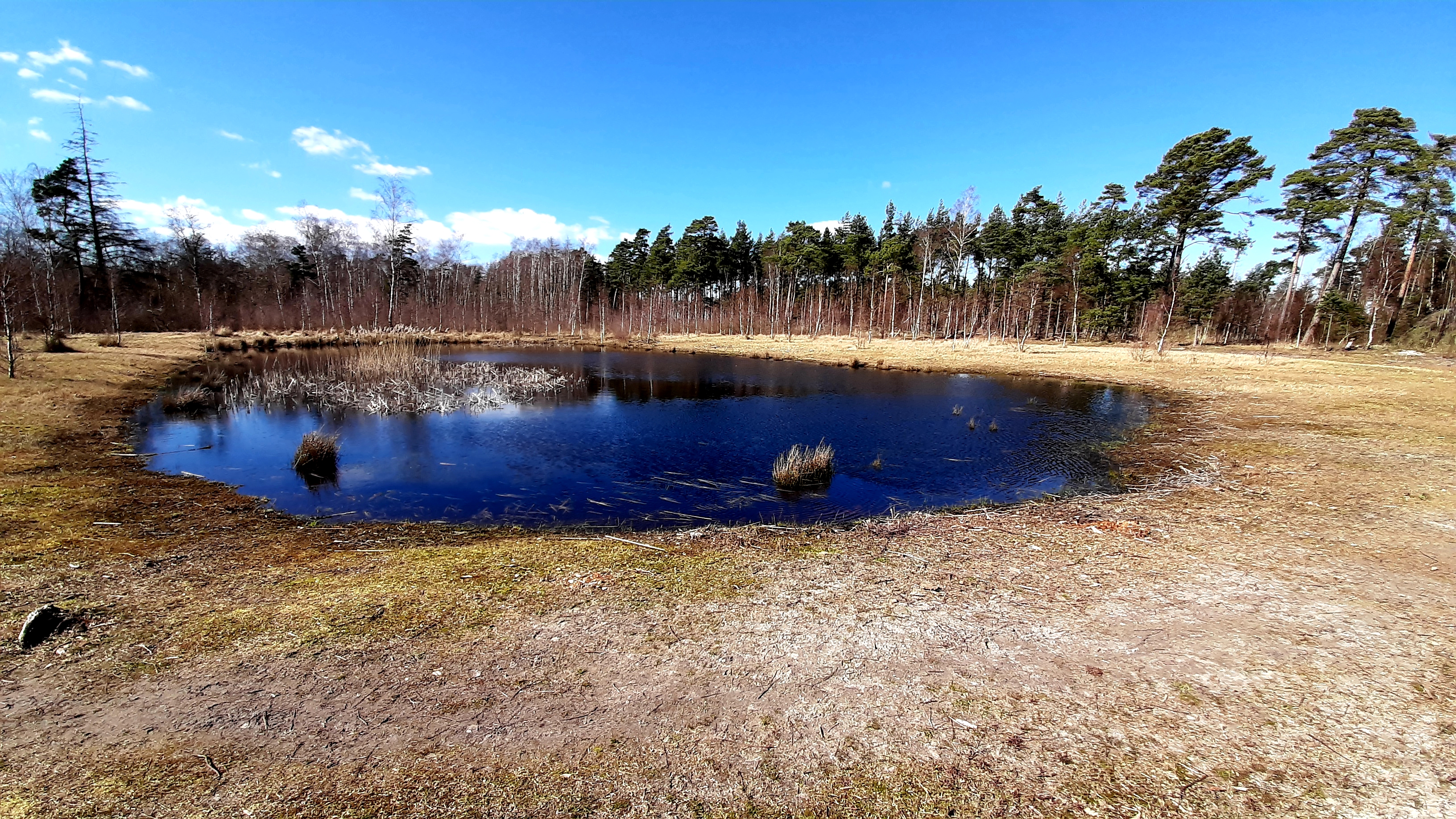 Wanderweg: Bøtøskoven - 5 km