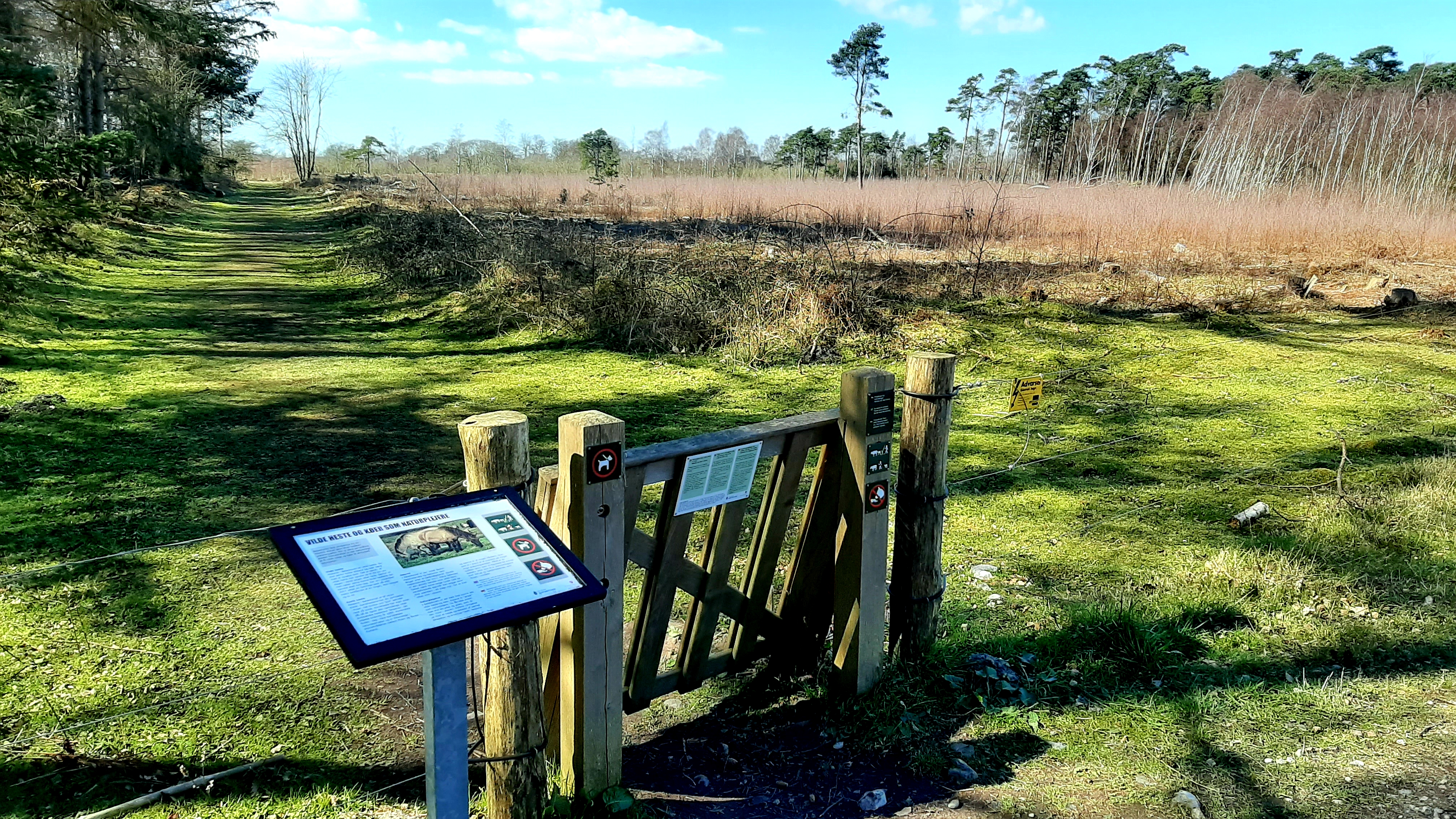 Wanderweg: Bøtøskoven - 5 km