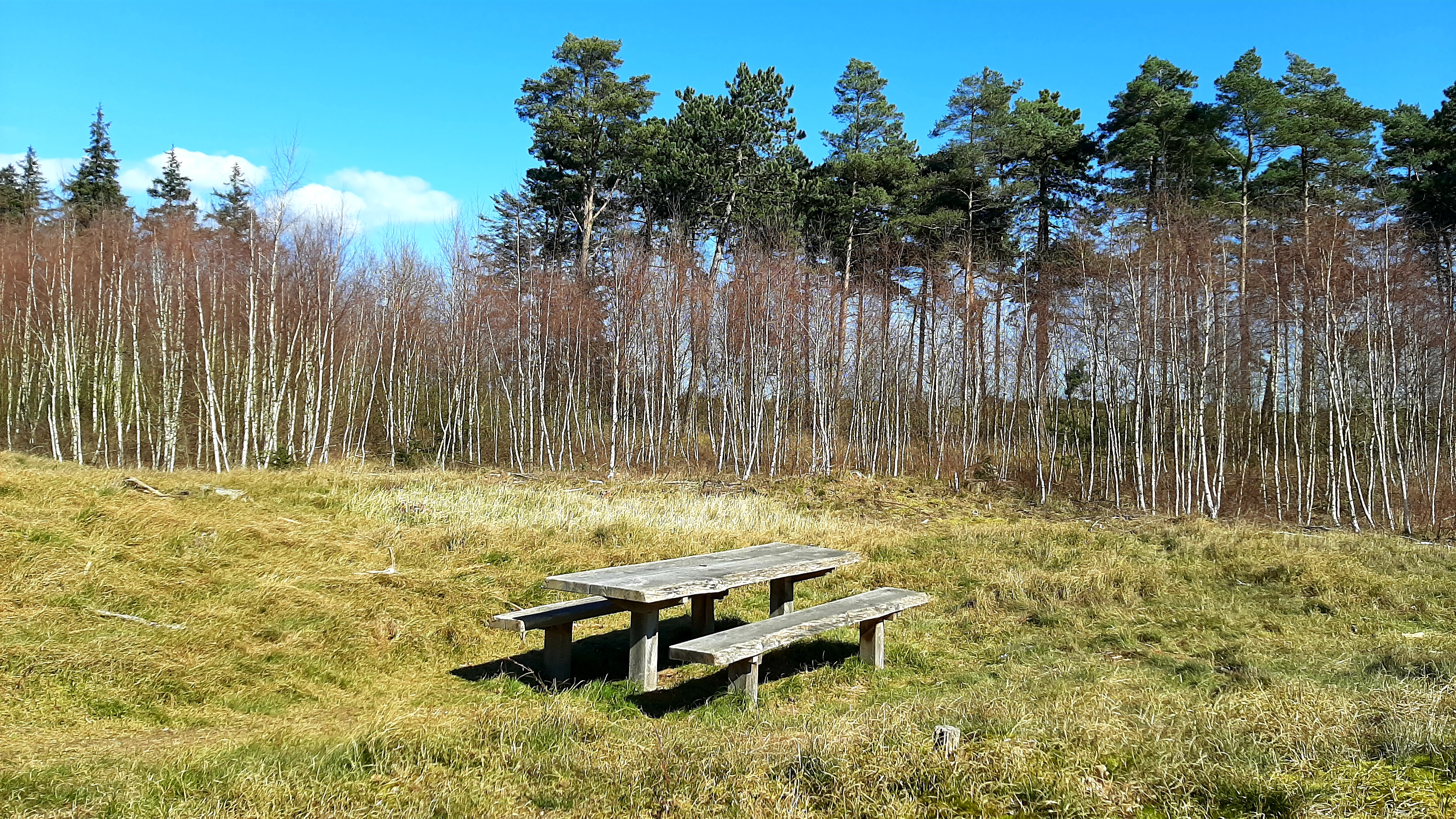 Wanderweg: Bøtøskoven - 5 km