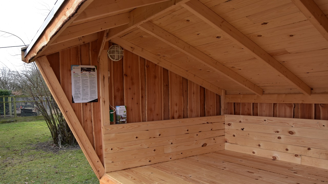 Shelter site - Frejlev Skov