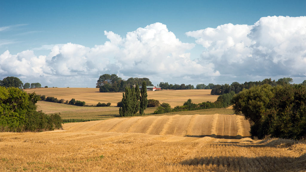 Femø Inn & Conference Center, Restaurant