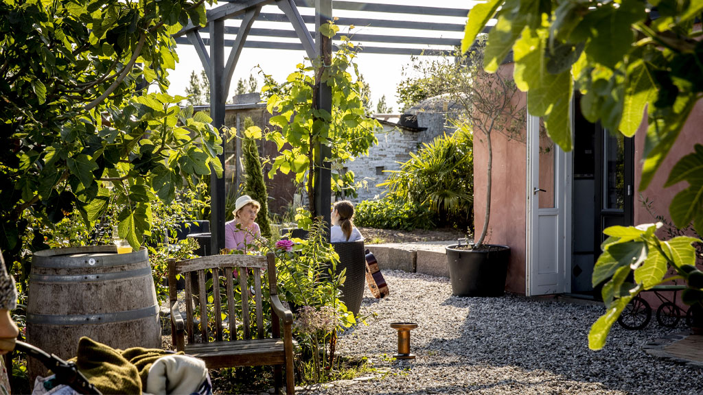 Hideaway Winery & Fig Arbor