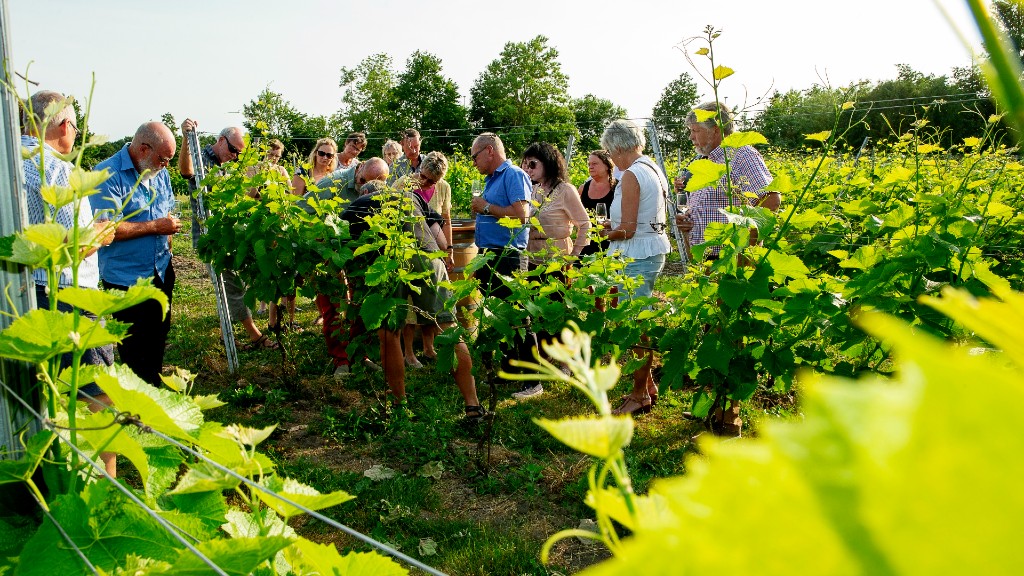 Østergaard Vinmageri