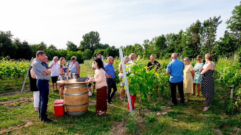 Østergaard Vinmageri