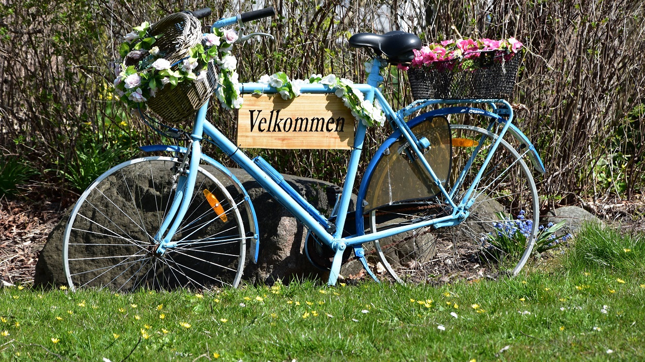 Shelter site - Askø
