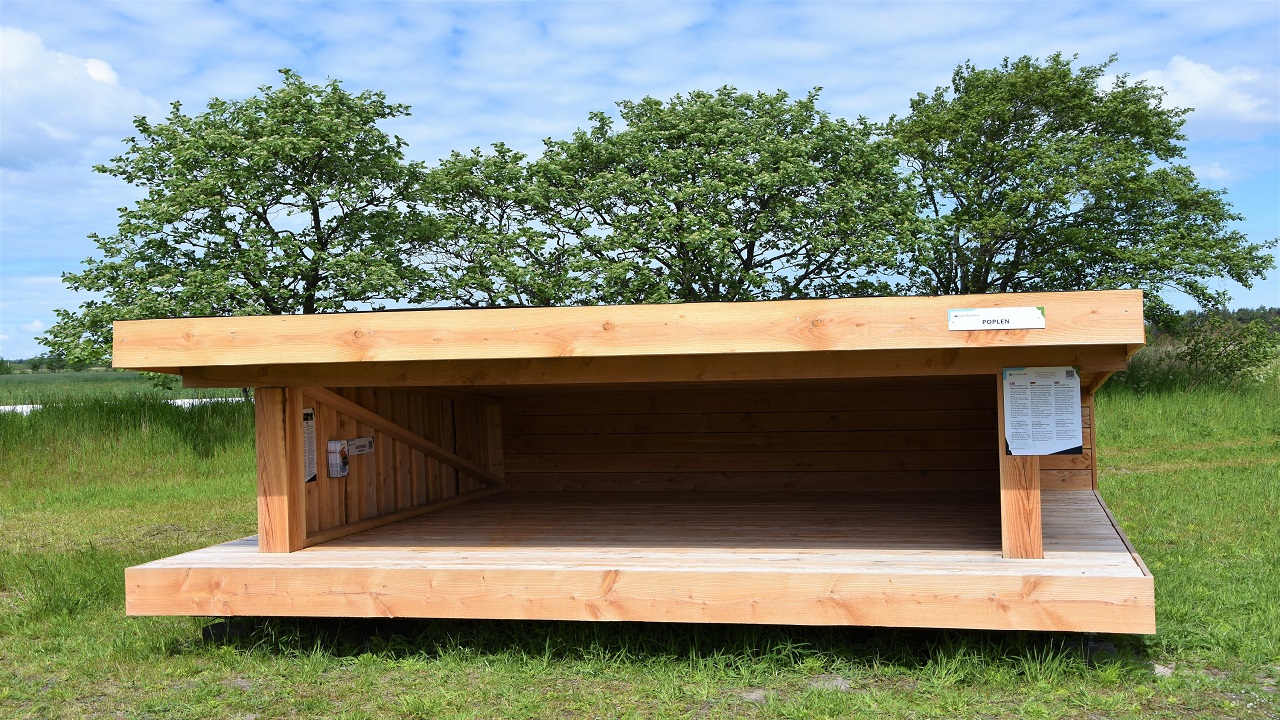 Shelterplads - Marielyst Familiecamping