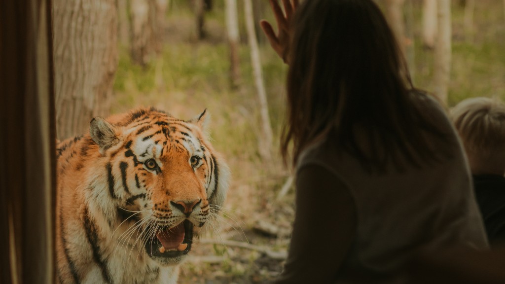 Knuthenborg Safari Camp