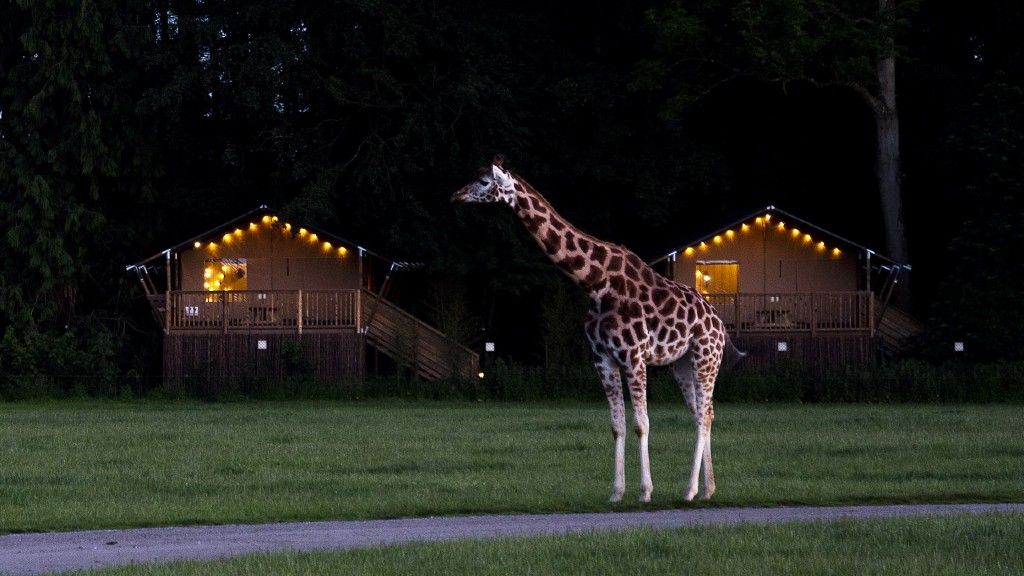 Knuthenborg Safari Camp